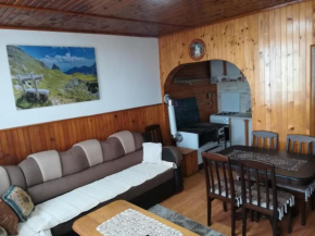 Отель Old house apartment  Жабляк